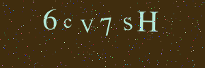 Validation image
